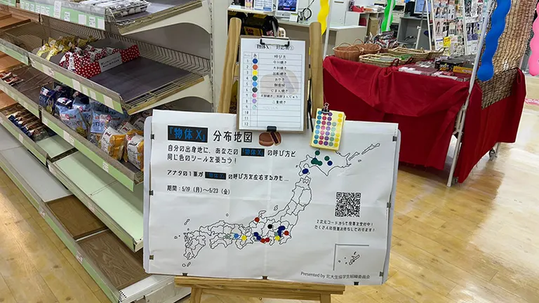 物体X