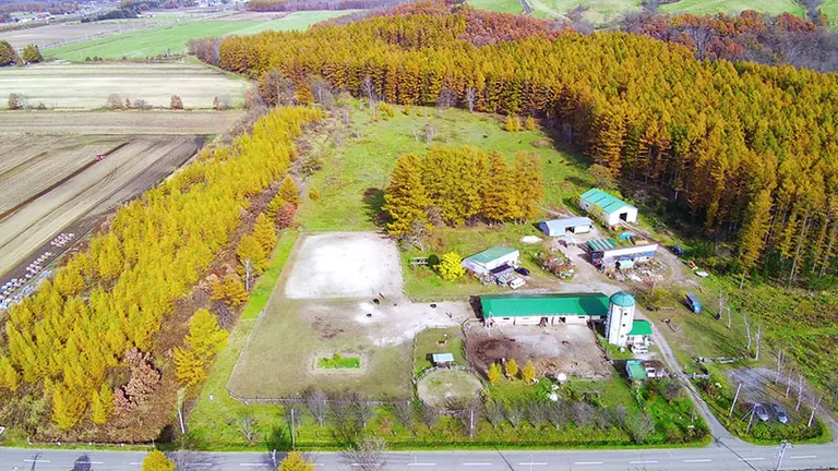 North Pole Stables