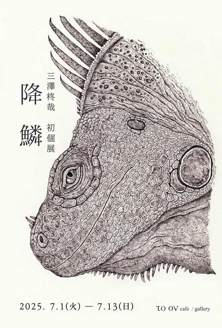 Shuya Misawa's first solo exhibition "Falling Scales"