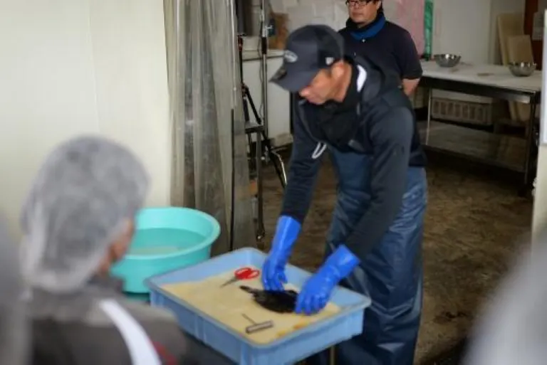 ゲストハウス潮目