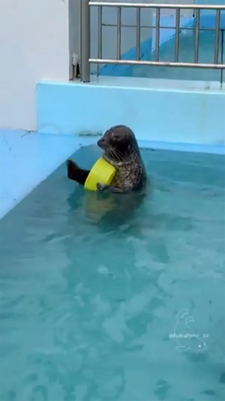 Muroran Minpo Minna no Aquarium