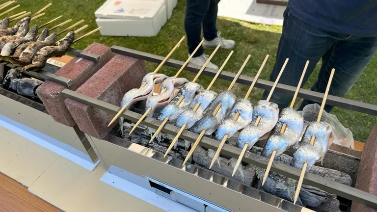 시코츠코 칩 축제