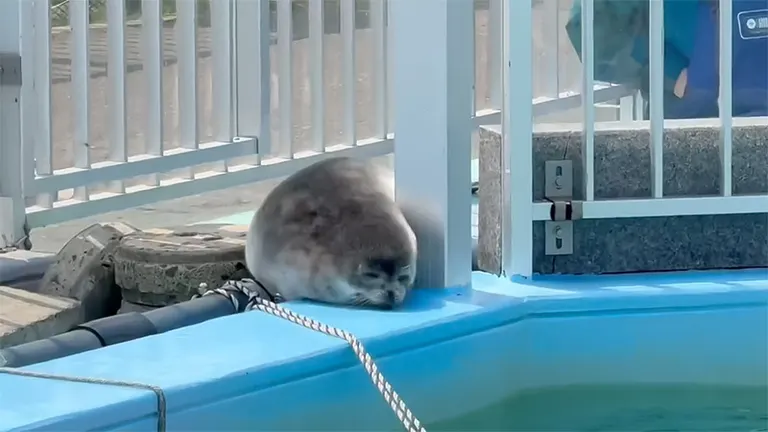 とっかりセンター