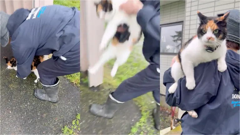 富菜牧場