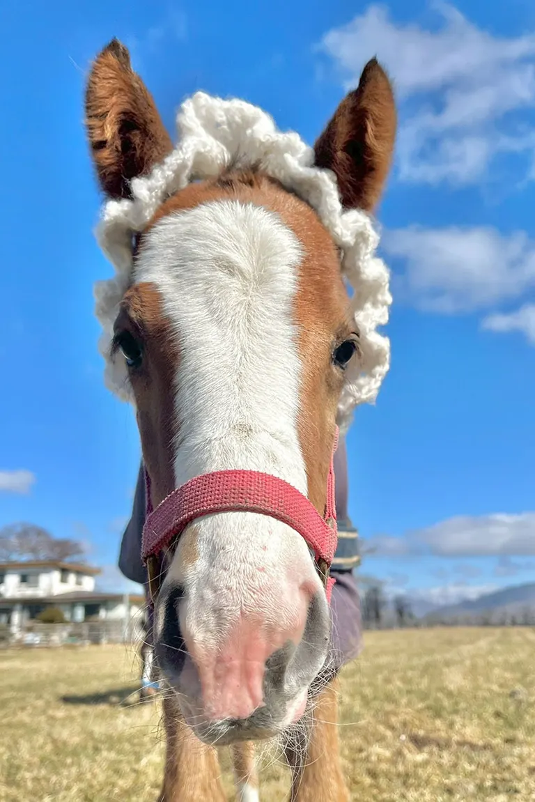 토미나 목장의 게시물