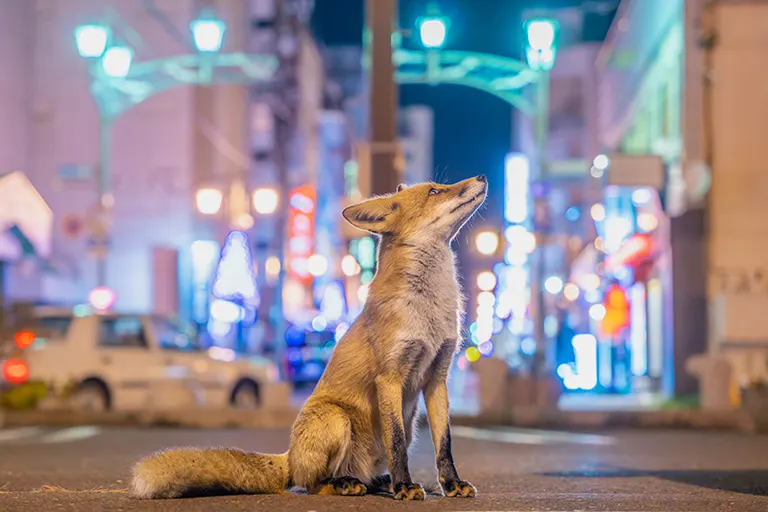 柳楽 航平さんの写真