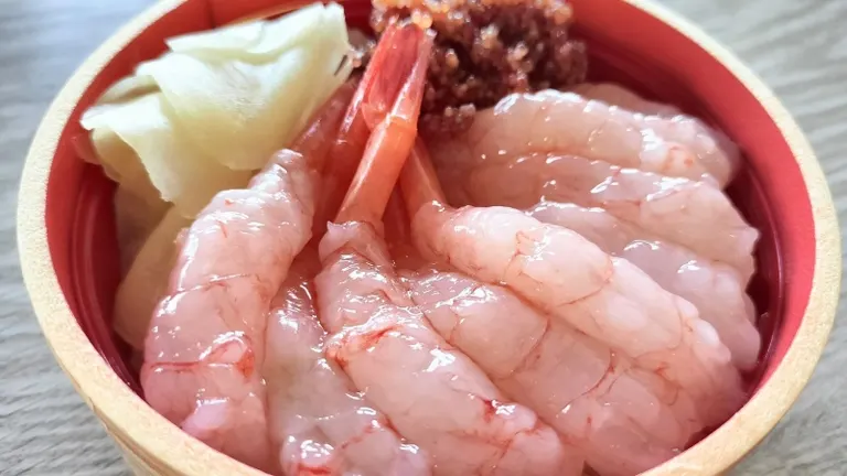 増毛の甘エビ丼