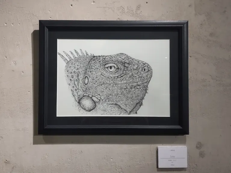 Shuya Misawa's first solo exhibition "Falling Scales"