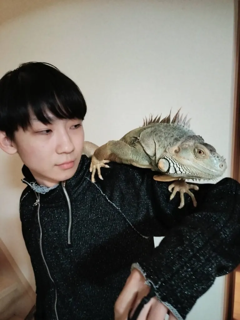 Shuya Misawa's first solo exhibition "Falling Scales"