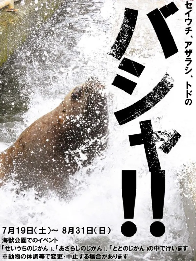 セイウチ、アザラシ、トドの「バシャ！！」