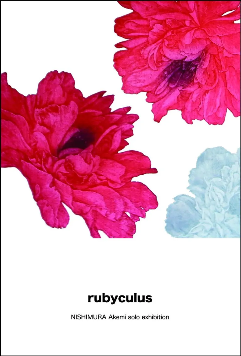 rubyculus NISHIMURA akemi solo exhibition