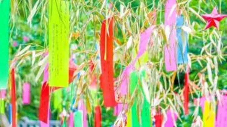 北海道的節慶和活動