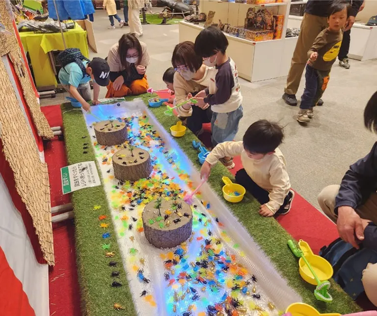 最强昆虫百科展