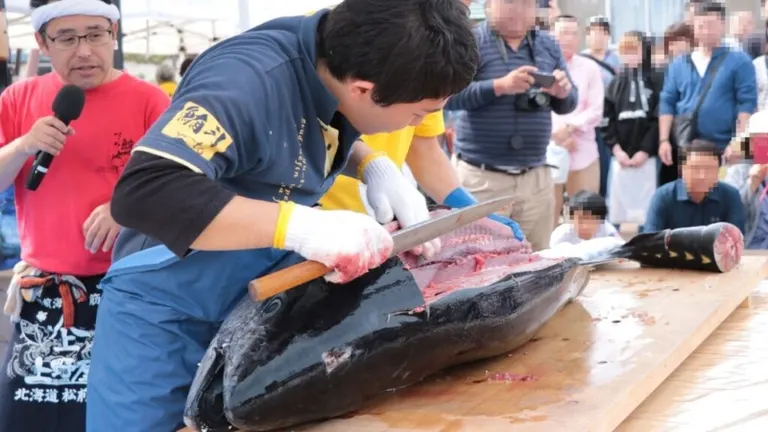 第九屆松前城下町鮪魚節