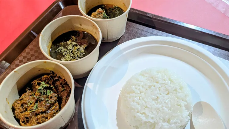 Sapporo Curry Kingdom