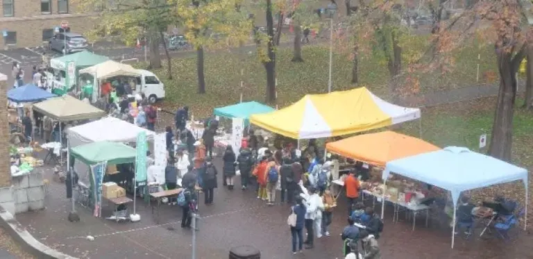 北海道大學馬爾凱