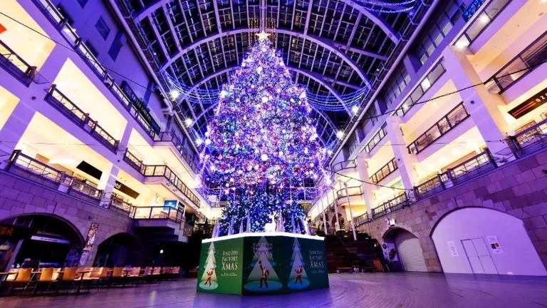 삿포로 팩토리 점보 크리스마스 트리