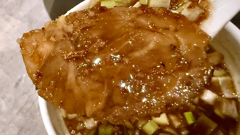 Ramen Tsukemen NOFUJI