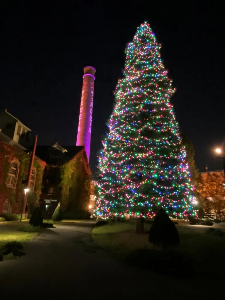 サッポロガーデンパーク イルミネーション