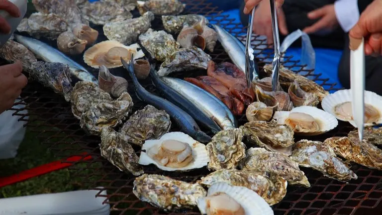 아케시 굴 축제