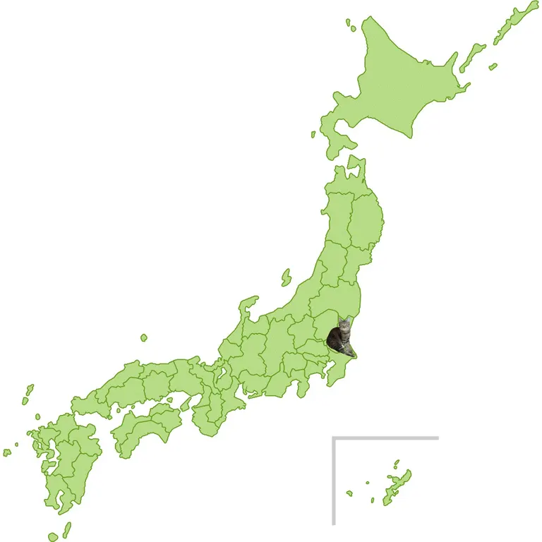 A map of Japan full of cats