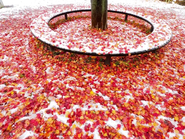 札幌の公園の風景