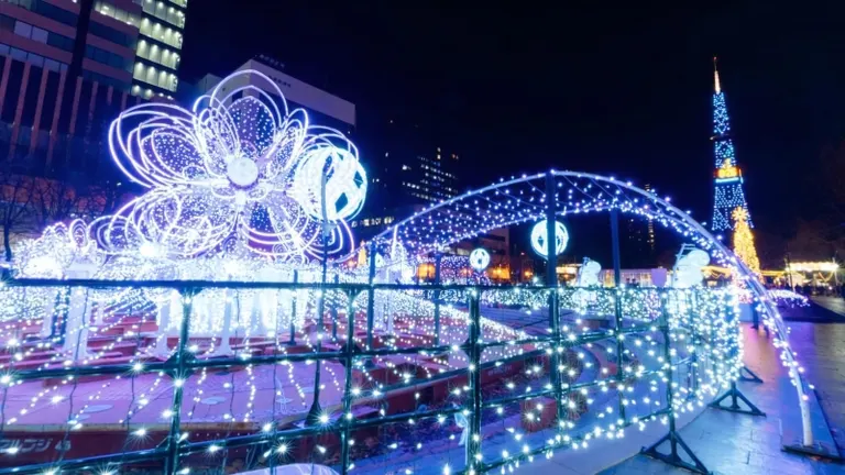 45th Sapporo White Illumination
