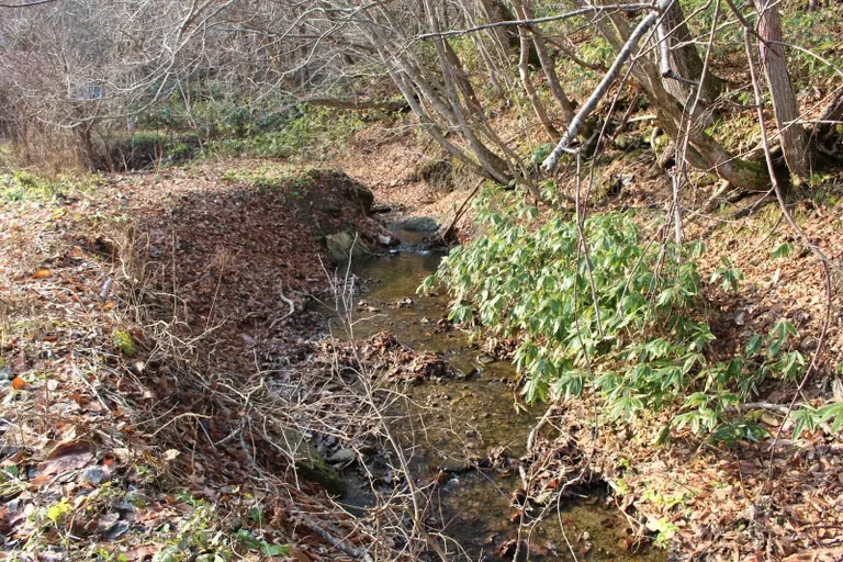 야리키레나이 강