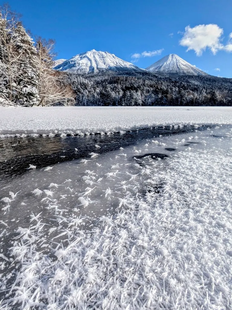 フロストフラワー