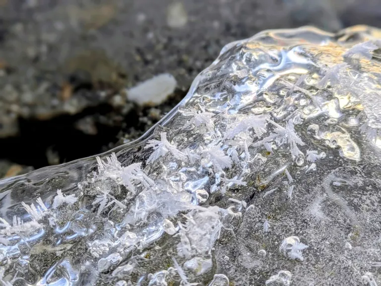 フロストフラワー