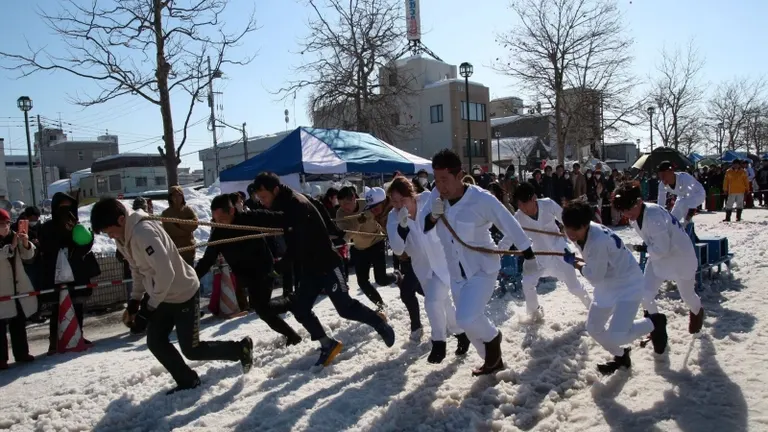 IWAMIZAWA 도카 눈 축제