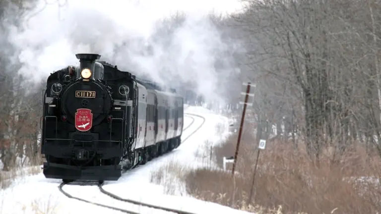 Steam Locomotive Winter Wetlands