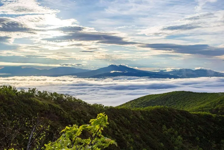 從藻琴山頂眺望雲海