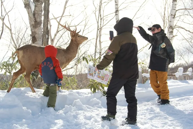 たきの森フェス