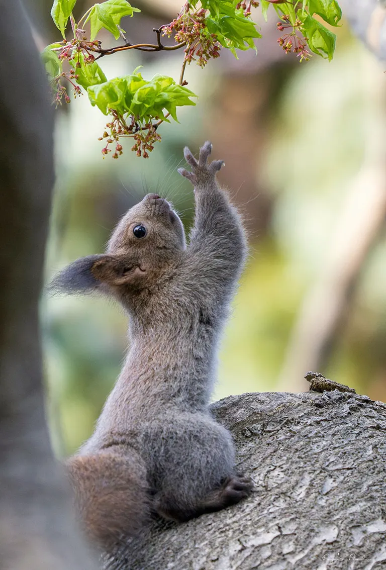 @_emiriku_ 님의 게시물