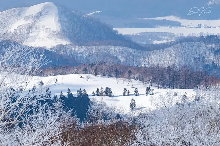 @emin_kiss 发布的帖子