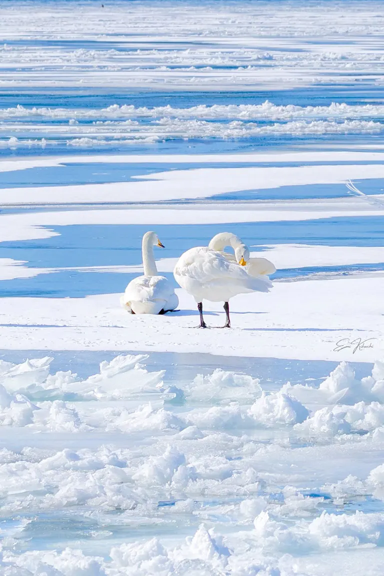 @emin_kiss 发布的帖子