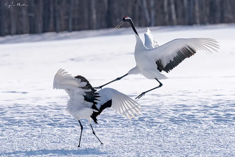 @_emiriku_ 님의 게시물