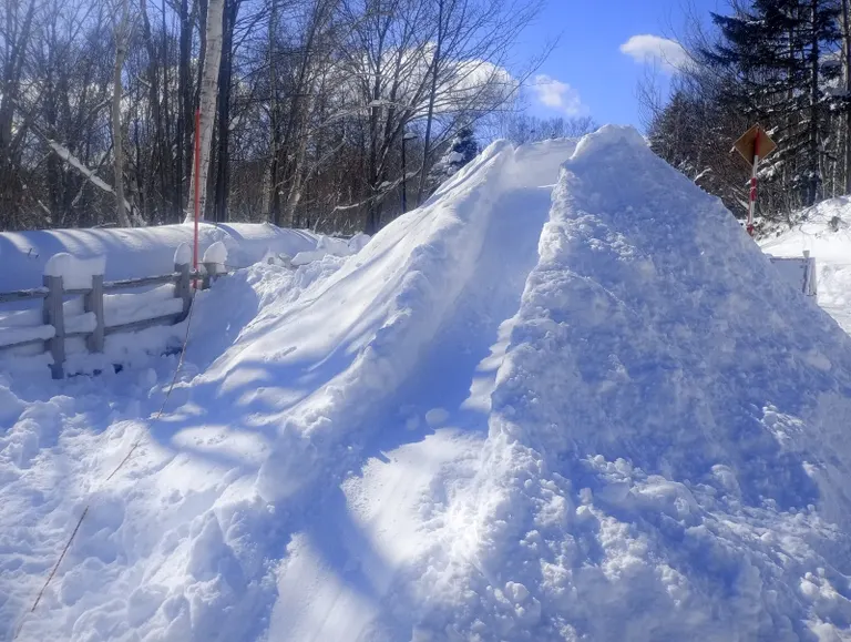 たきの森フェス