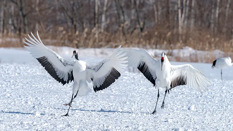 @_emiriku_ 님의 게시물