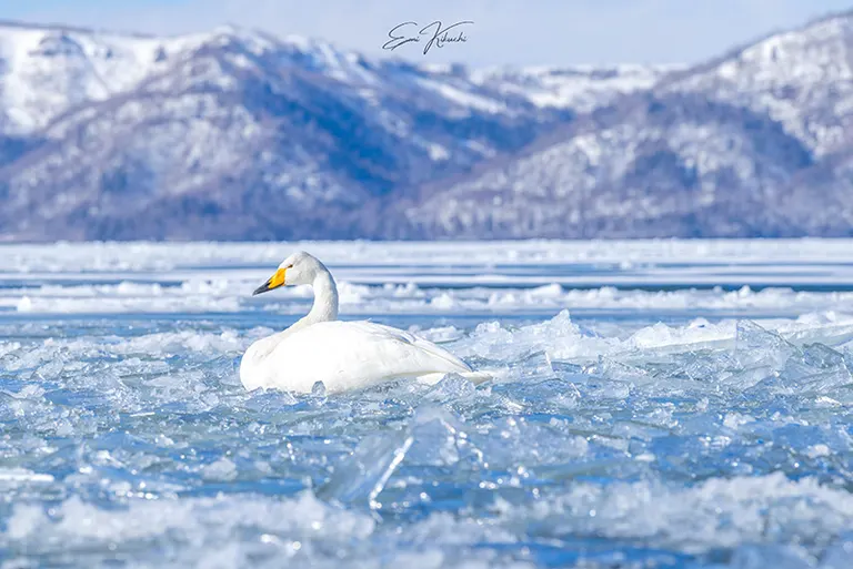 @emin_kiss 发布的帖子