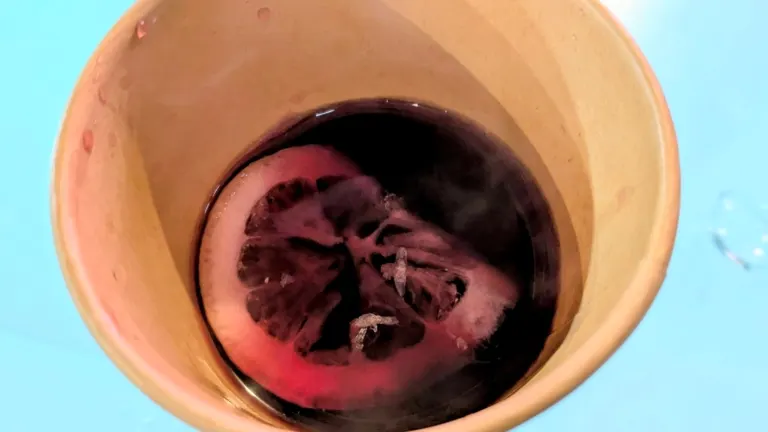 ホットサングリア