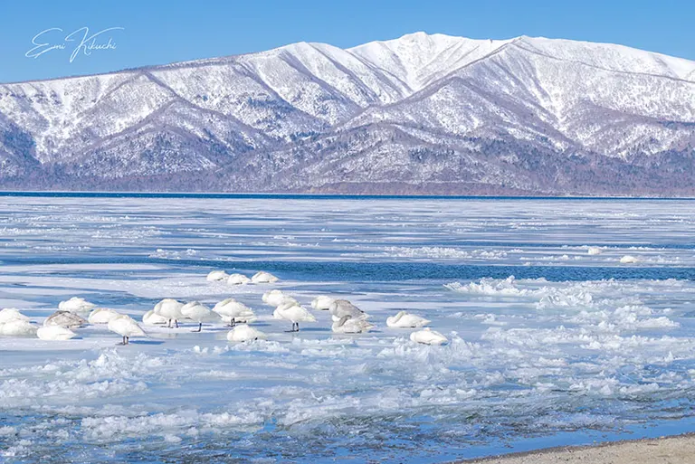 @emin_kiss 发布的帖子