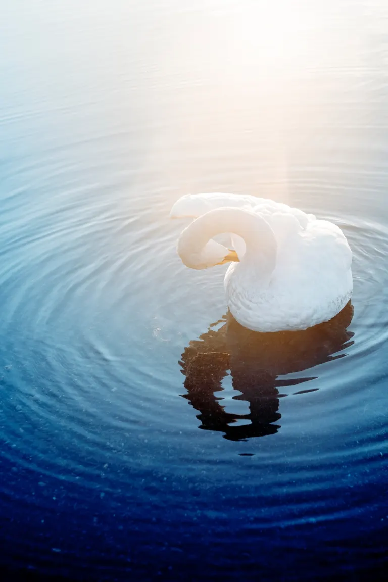 北海道的絕美照片