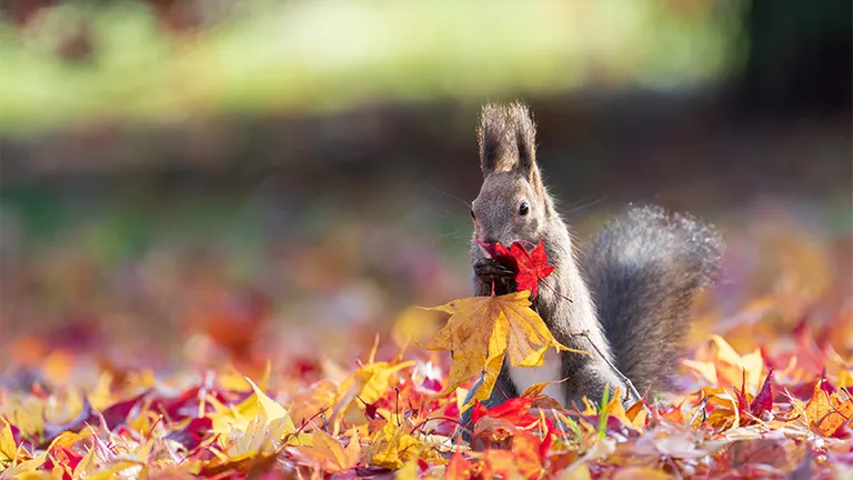 @_emiriku_ 님의 게시물