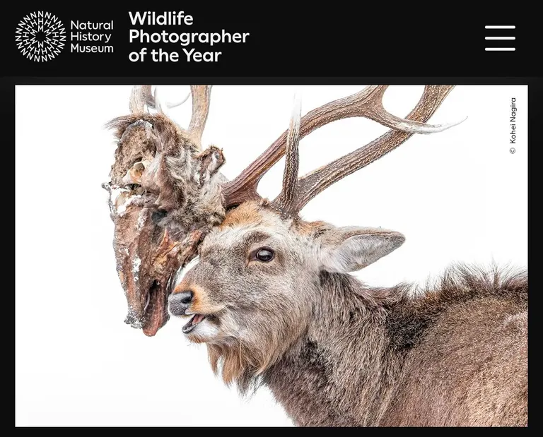 The award-winning photo, 'Never-ending Struggle'