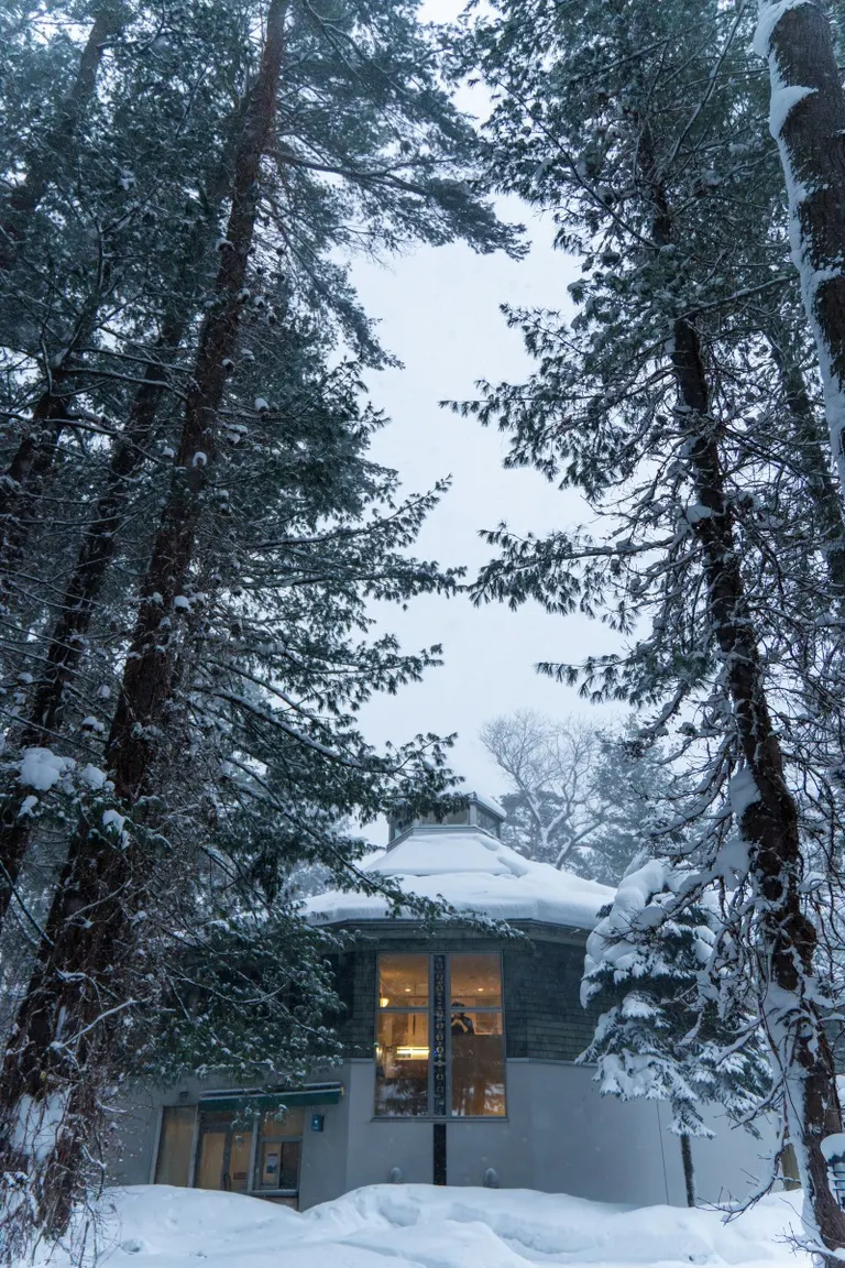 三浦绫子纪念文学馆与外国树种见本林