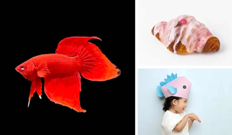 Spring at the Aquarium