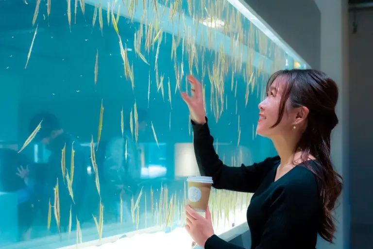 Spring at the Aquarium