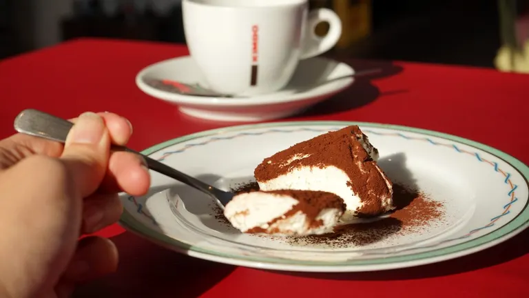 Stella terra adomani